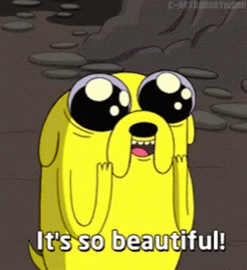 Jake The Dog It's So Beautiful GIF