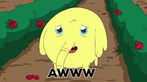 Jake The Dog Teary Eyes GIF