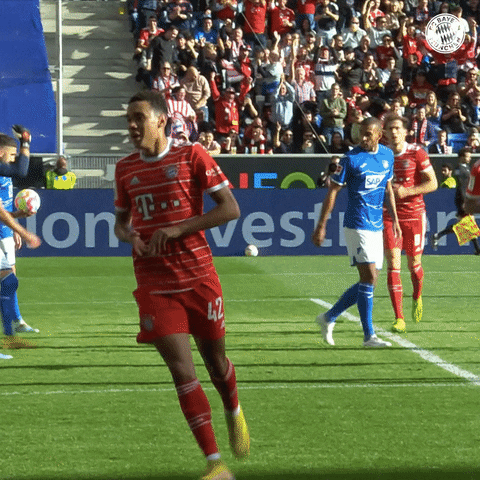 Jamal Musiala Football Sport GIF