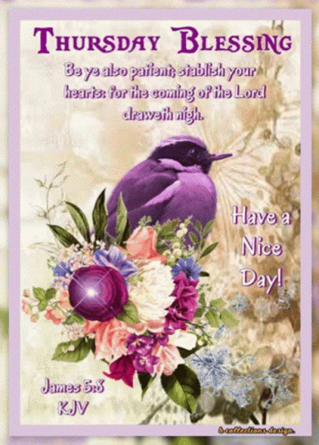 James 5:8 Bible Verse Good Morning Blessings GIF