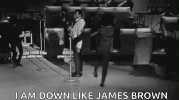 James Brown 356 X 200 Gif GIF