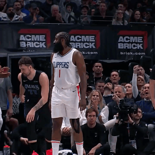 James Harden And Luka Doncic GIF
