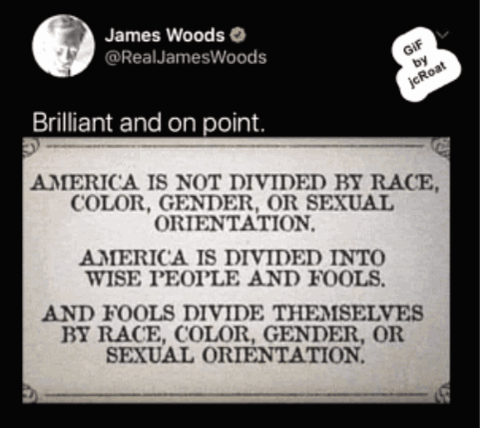 James Woods Tweet About America Divided