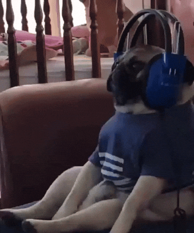 Jamming To Music Happy Dog Day GIF
