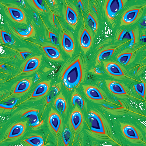 Janmashtami Peacock Feathers Krishna Reveal GIF