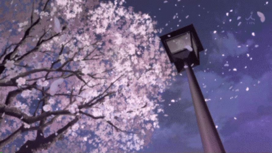 Japan Blossom Scene GIF