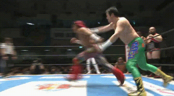 Japanese Pro Wrestling Action GIF
