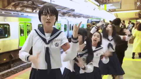Japanese Train Transportation GIF