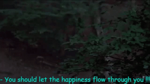 Jar Jar Binks You Should Let The Happiness GIF