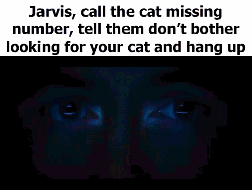 Jarvis , Call The Cat Missing Number , Tell Them Don 'T Bother Looking For Your Cat And Hang Up .. GIF