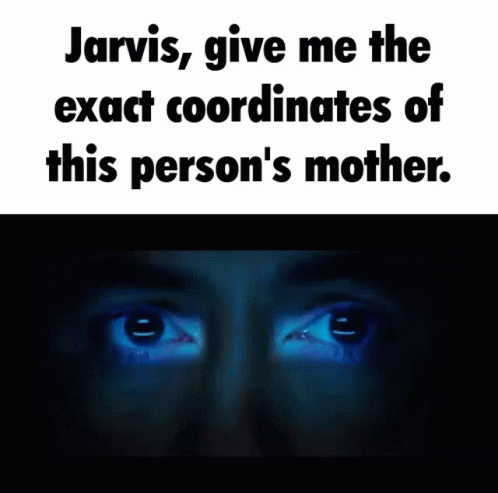 Jarvis Give Me The Exact Coordinates Of This Person's Mother GIF