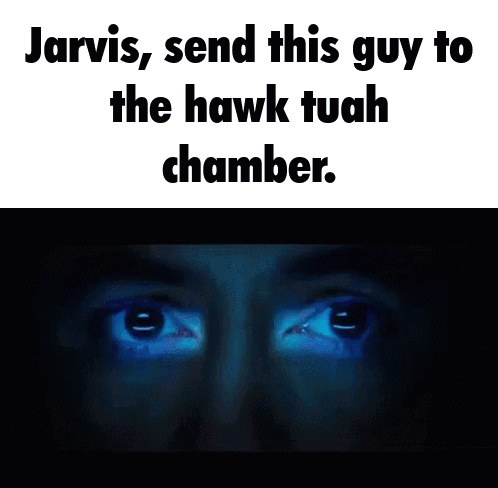 Jarvis Send This Guy To The Hawk Tuah Chamber GIF
