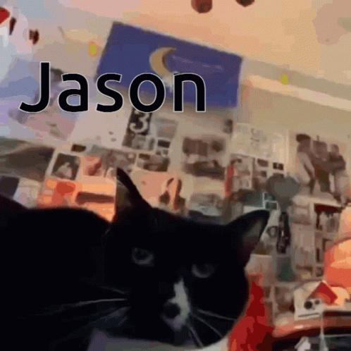 Jason 498 X 498 Gif GIF
