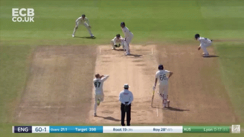 Jason Roy Batting GIF