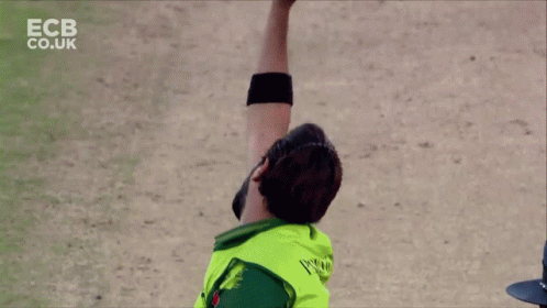 Jason Roy Batting The Ball GIF