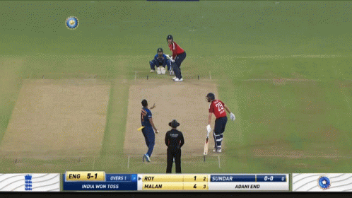 Jason Roy Cricket Live Game GIF