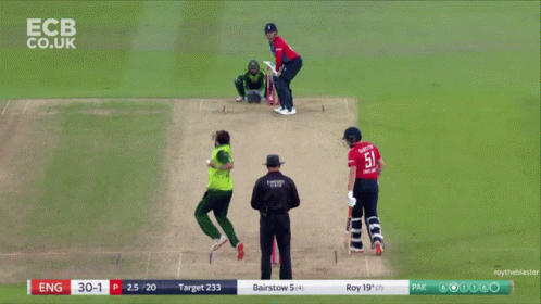 Jason Roy Cricketer GIF