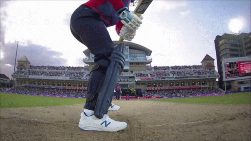 Jason Roy Hits Cricket Ball GIF