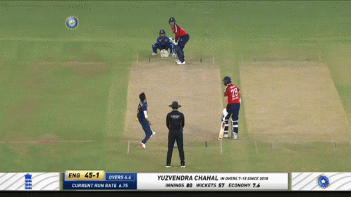 Jason Roy Hitting Cricket Ball GIF