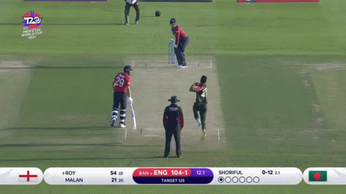 Jason Roy South African Cricketer GIF