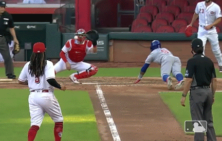 Javier Baez Skillful Baseball Stunts GIF