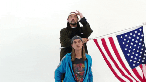 Jay And Silent Bob Viewaskew GIF