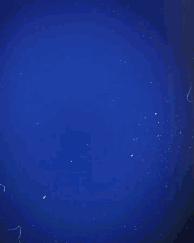 Jayden Oosterwolde Goal GIF