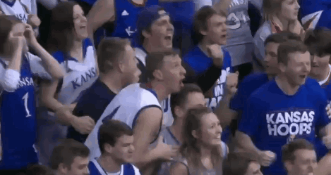 Jayhawks Rock Chalk Cheerers Looking Amazed GIF