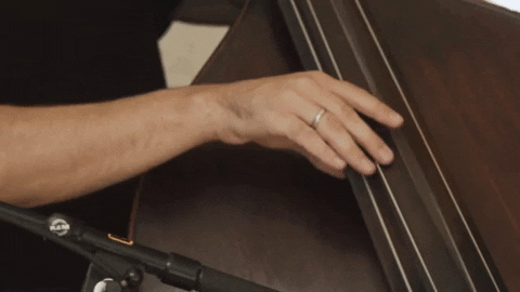 Jazz Bass Playing Close Up GIF