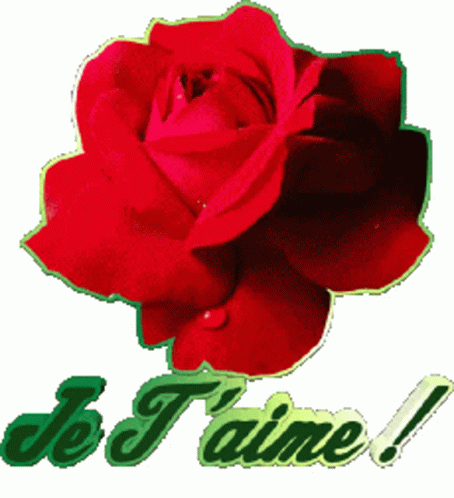 Je J Aime Rose GIF