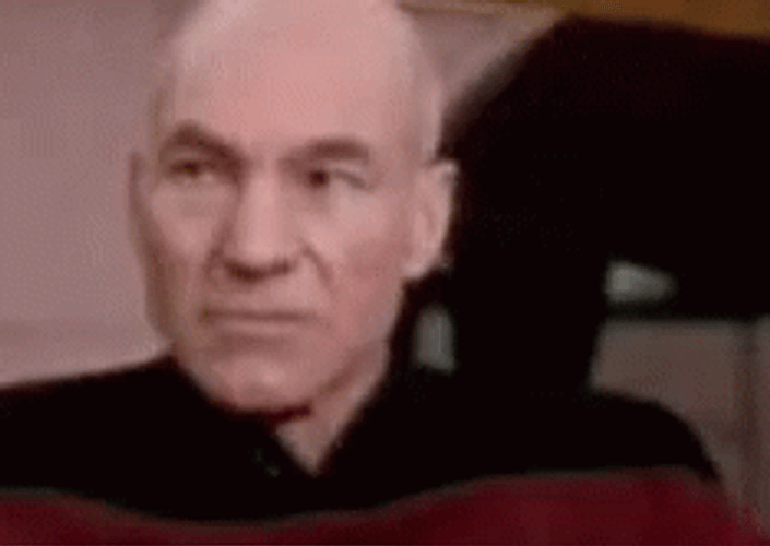 Jean-Luc Picard Make It So Star Trek GIF