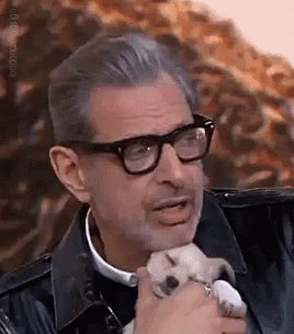 Jeff Goldblum Loves Puppy GIF