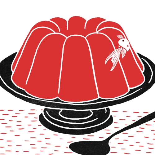 Jello Gelatin Dessert Swimming Fish GIF