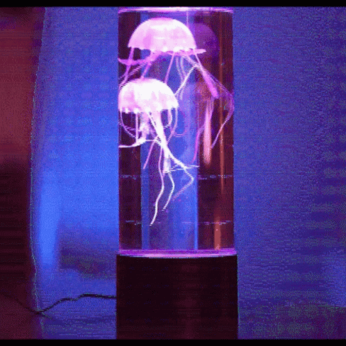 Jelly Fish Inside Lava Lamp GIF