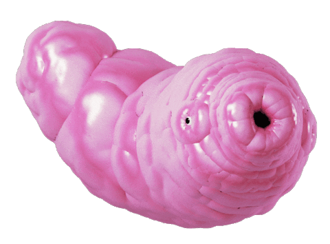 Jellygummies Worm Mouth Pulsing GIF