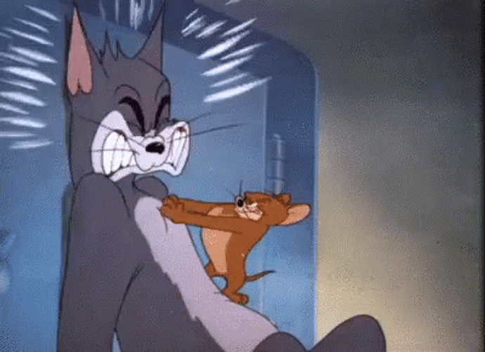 Jerry Beat Up Tom Non Stop GIF