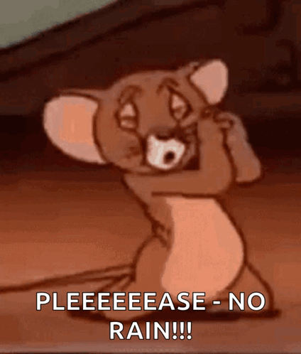 Jerry From Tom And Jerry Is Covering His Face With His Hands And Says Pleeeeease No Rain !!! GIF