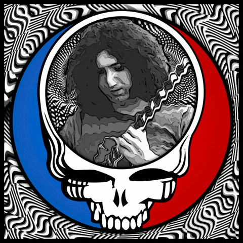 Jerry Garcia In My Head GIF