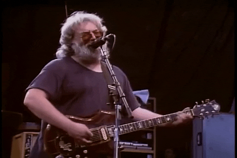 Jerry Garcia The Guitarist GIF