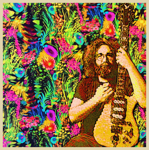 Jerry Garcia Tripping GIF