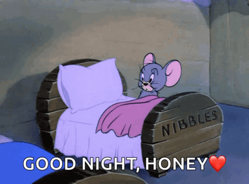 Jerry In Bed Saying Good Night Honey GIF
