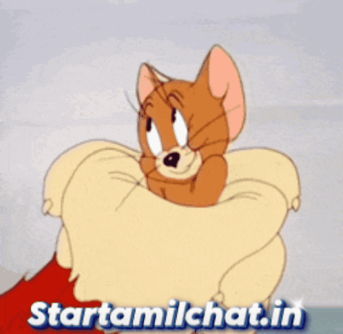 Jerry Lying on Pillow
