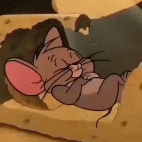 Jerry Mouse Lying On Cheese Bed GIF