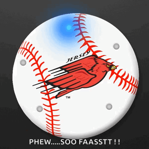 Jersey Baseball With Red Cardinal