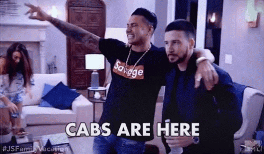 Jersey Shore Pauly And Vinny Cabs Are Here GIF