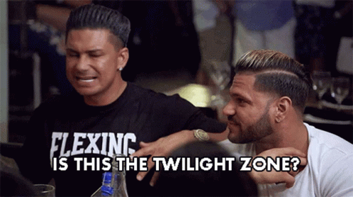 Jersey Shore Pauly Is This The Twilight Zone GIF