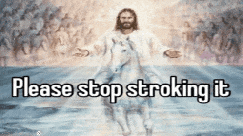 Jesus Riding Unicorn Please Stop Stroking It GIF