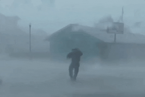 Jim Cantore Florida Storm GIF