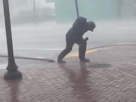 Jim Cantore Hold Tight Strong Wind GIF