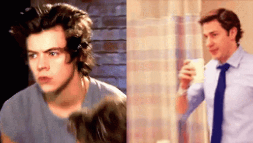 Jim Halpert And Harry Styles Parody GIF